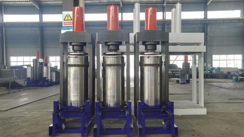 民豐ayy 280 500a 大豆榨油機自動出餅 大型商業(yè)榨油機廠家銷售 一年保修終身維護 食品飲料欄目