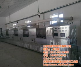 伊犁微波殺菌設備 立威微波 果脯微波殺菌設備高清圖片 高清大圖