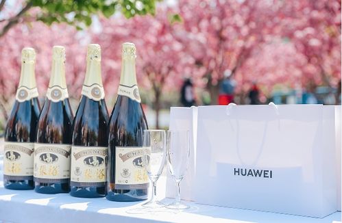 煙臺(tái)城市微度假 醉美海岸 騎遇四季 活動(dòng)啟動(dòng) 發(fā)布五條精品騎行線(xiàn)路