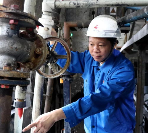 先進(jìn)模范代表風(fēng)采 一